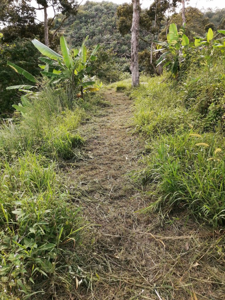 Bulldozing a straight path and leave the rest to workers when available.