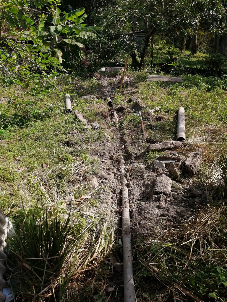 View from the outhouse towards the old sewer tank in the distance. Old sewer pipe seen here before being dug up.
