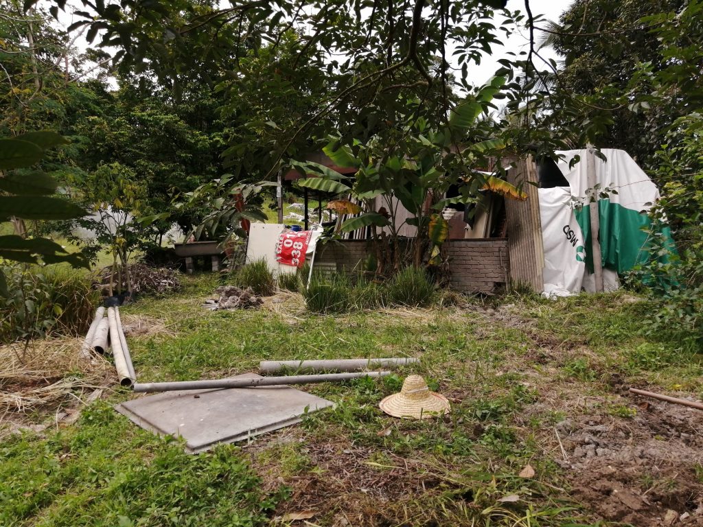View of the outhouse from the old sewer tank. Straw hat on the ground marks the location of the banana circle to be dug.