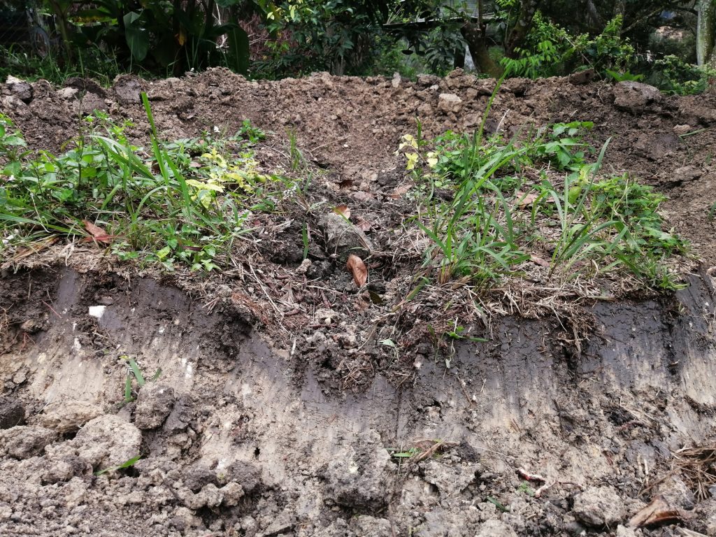 Note the change in color between the top soil above in black and the subsoil below it.