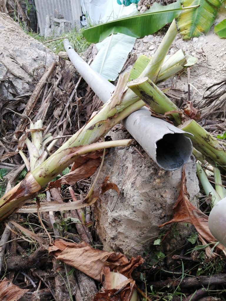 The pipe carrying grey water (from the shower unit in the outhouse) to be channeled into the pit.