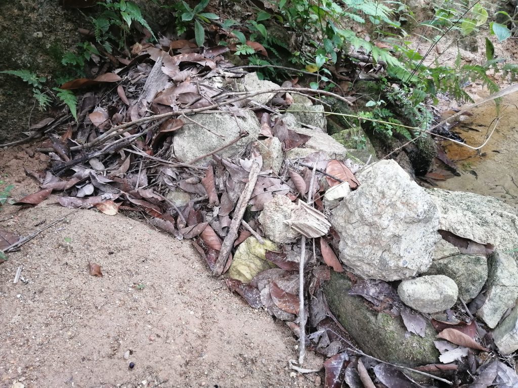 The first line of defence against leaves, twigs and sand.