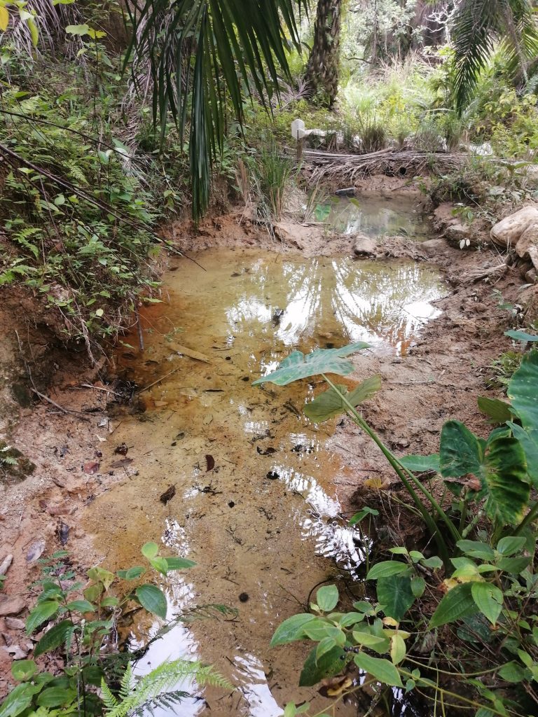 The 20 feet run of silt trap leading up to the main intake pool of the dam in the far distance at the background.