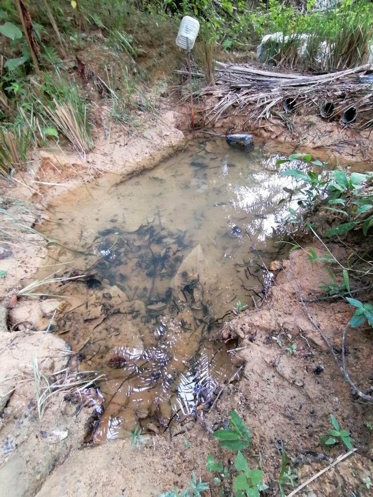 The main pool for water intake at the dam. Silt and debris is building up here. The water in this pool should be kept still as much as possible. That means never going in unless necessary.