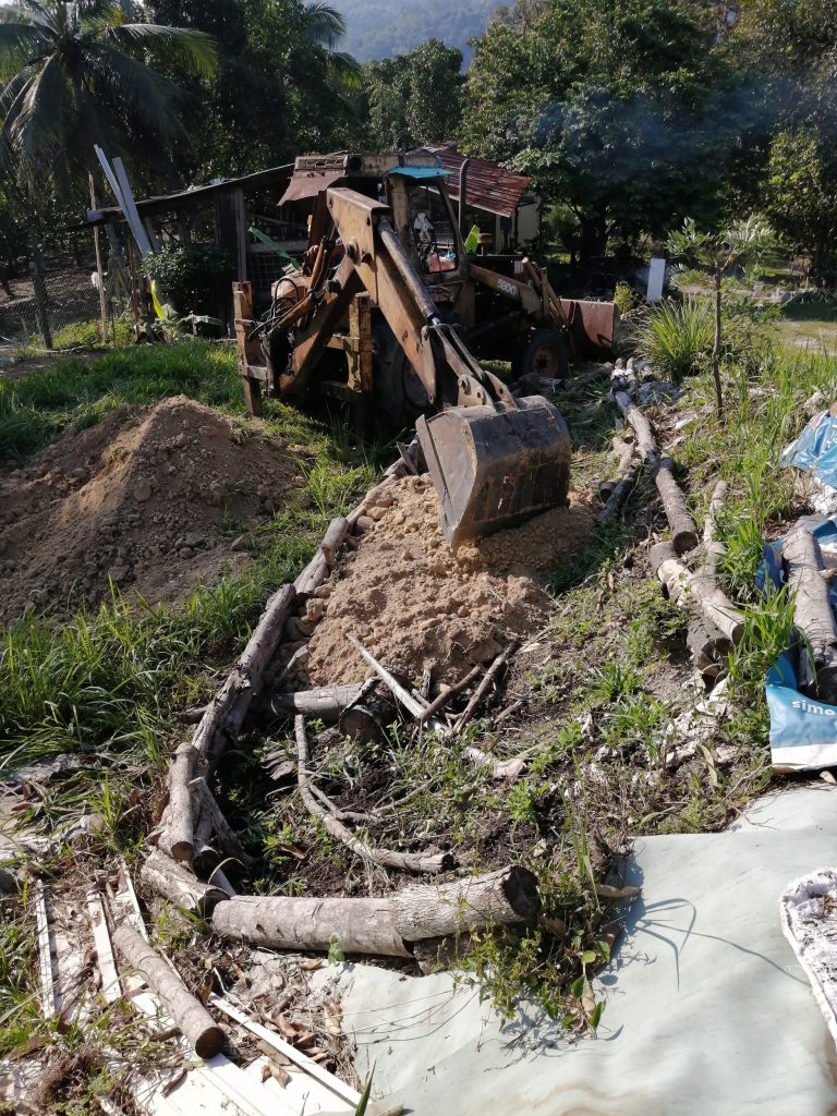 The pond is located just right next to the sweet potato bed. Dumping of soil is easy as it's just within reach of a single motion.