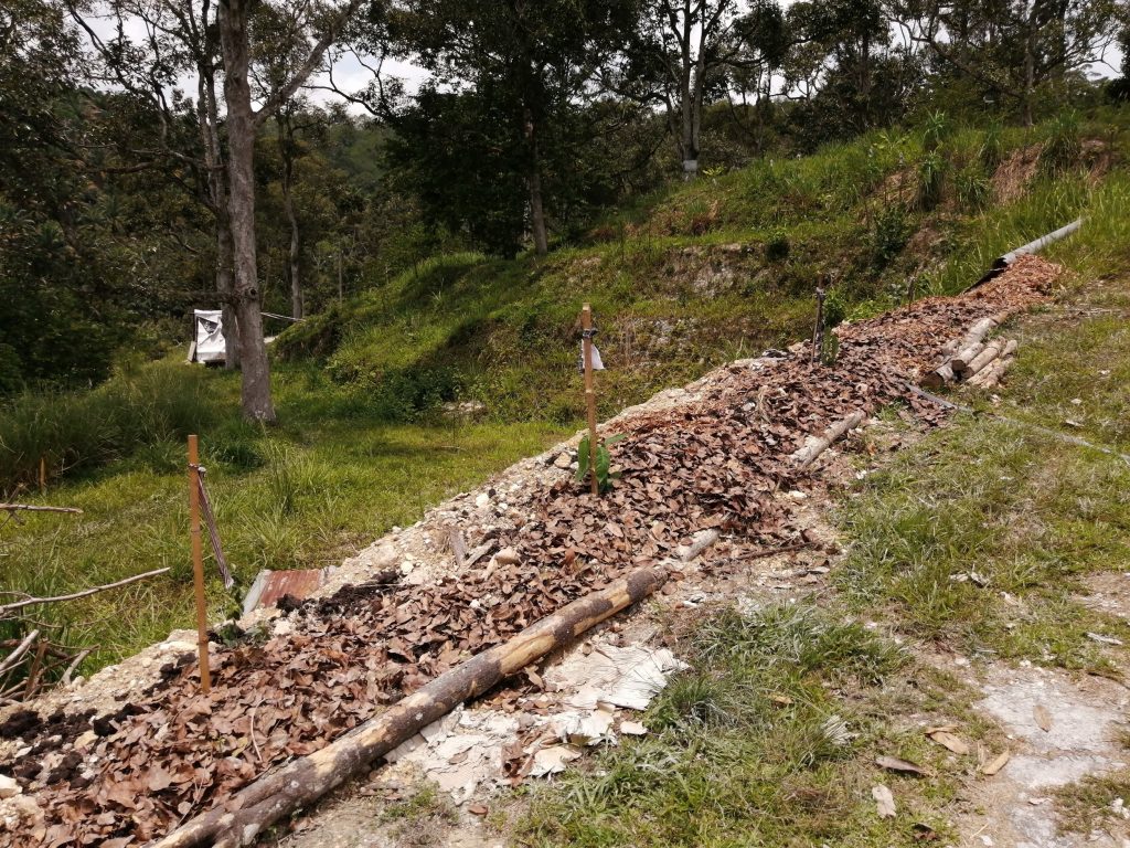 The extra soil is dumped a little further away to create another planting bed. 