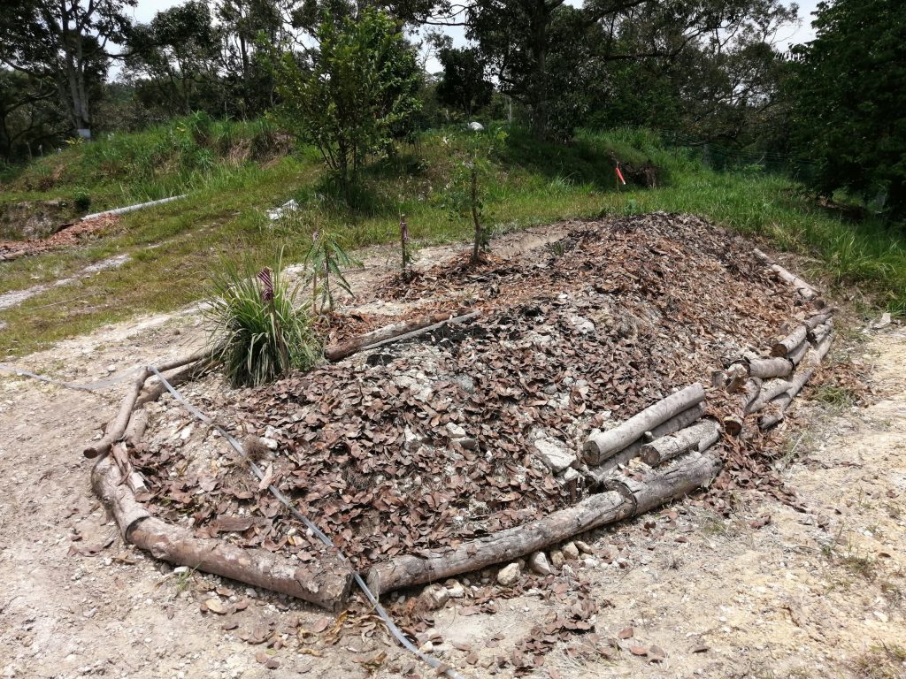 The finished sweet potato raised bed. I've lightly sprinkled the bed with dried leaves as a temporary ground cover. Once the cuttings take root and sprout, they should colonise the entire mound in no time.