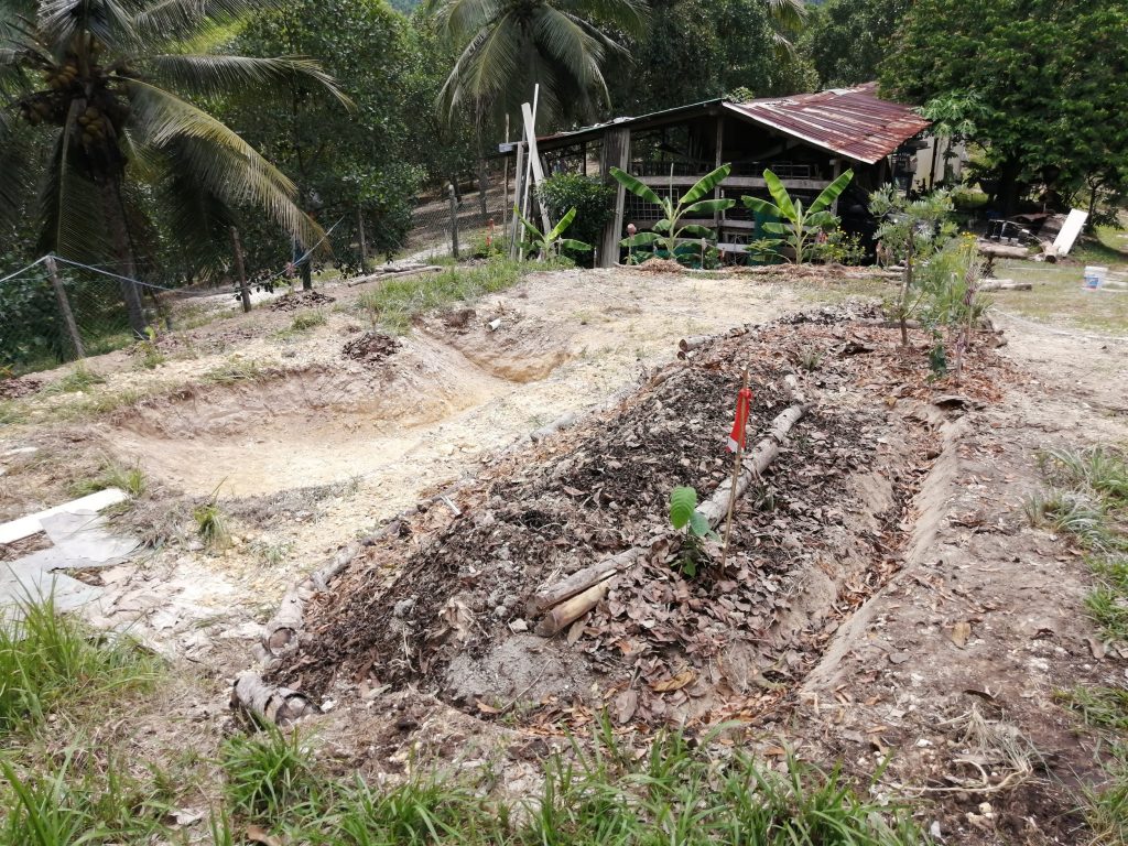 A small swale-like ditch on the right of the mound along the road helps slow water movement and send them soaking into the soil.