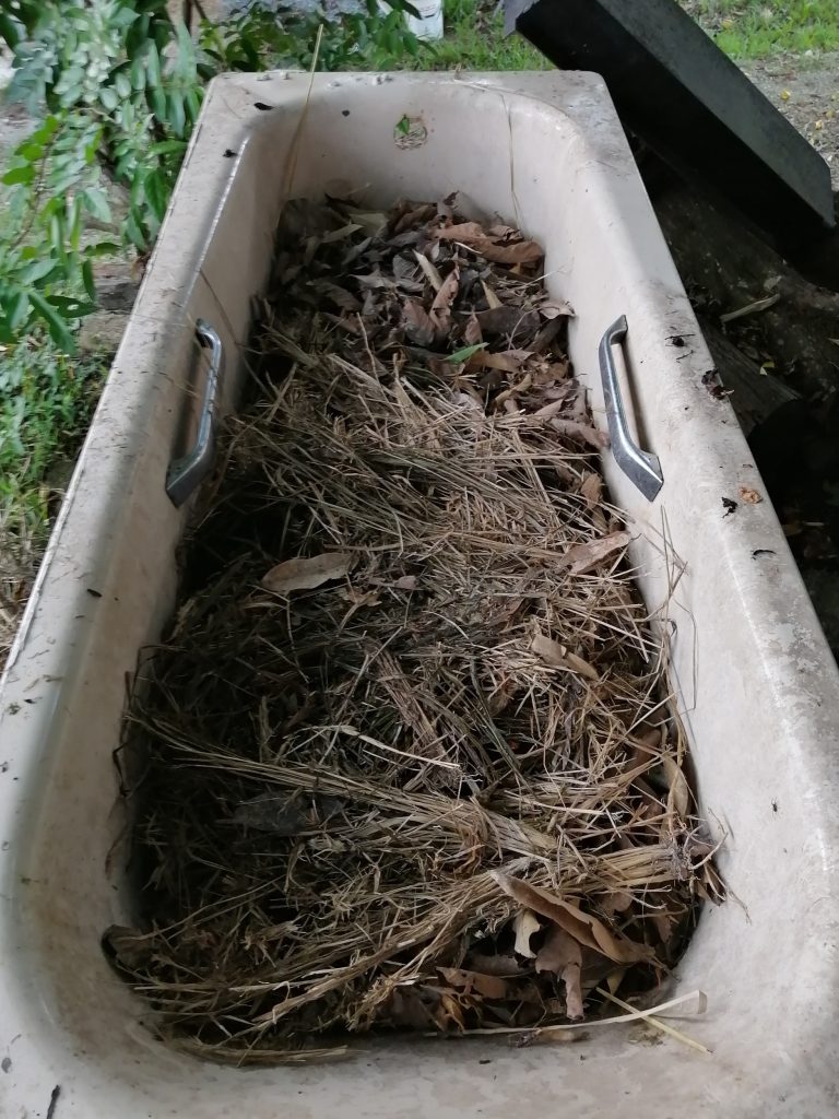 Regular dried leaves, grass and partially decomposed fine particles of star fruit tree leaves and its fruits.