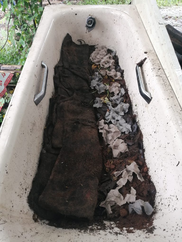 Occasional adding of egg carton boxes, covered with burlap sacks. All to be watered down and kept moist.