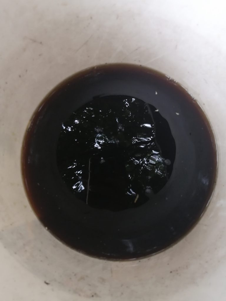 Liquid gold: Vermicompost tea collected in a bucket under the drainage hole. This has already been partially watered down depending on how much water I use to drench the pile occasionally. From this batch, I will proceed to water it down further (no fixed ratio, just by gut feel) before using it on all the young trees. It's best to have more vermitea so that I can apply as large-scale spraying around the farm to also benefit the bigger trees.