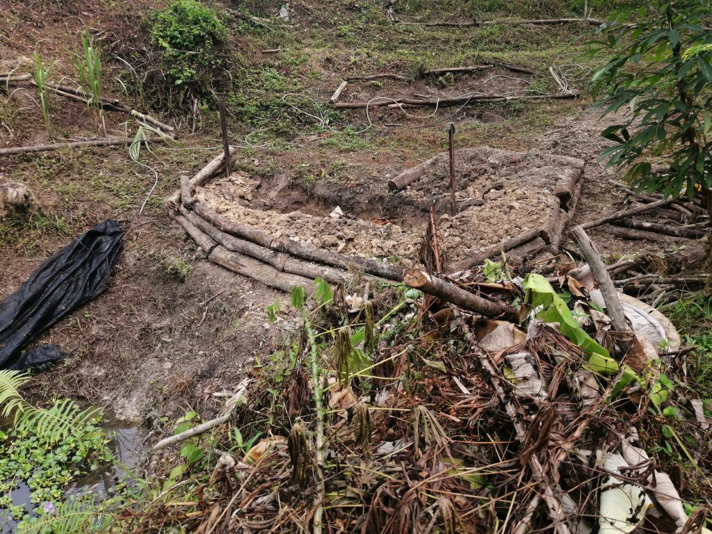 A pile of woody branches at the foreground to be dumped into the pit.