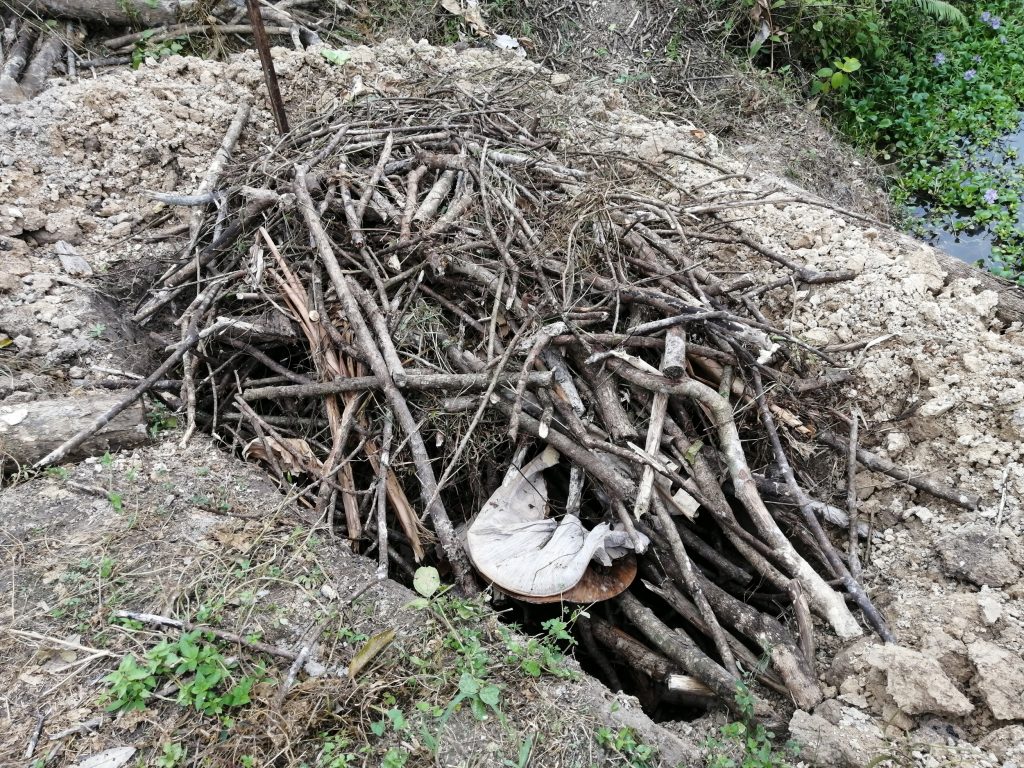 This pile of organic material will be broken down in due time. Perhaps some bigger branches should be cut to speed up the process.