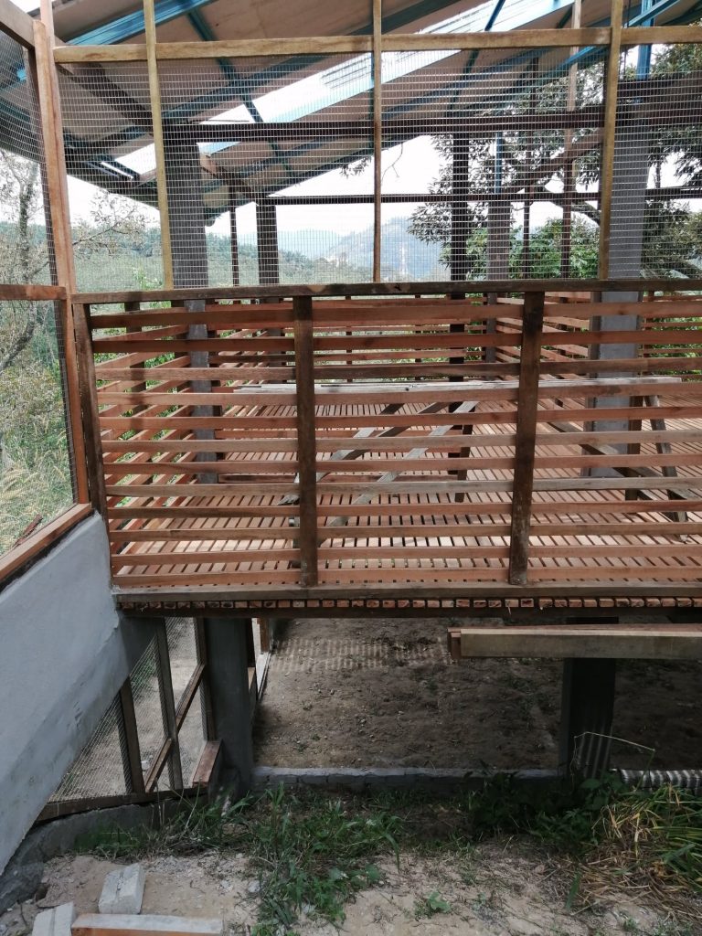 Poultry free to roam between lower and upper deck. But current option to go is to maintain separation.