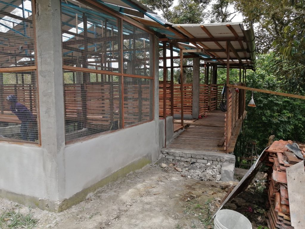 Entrance, looking in; to be filled with soil.