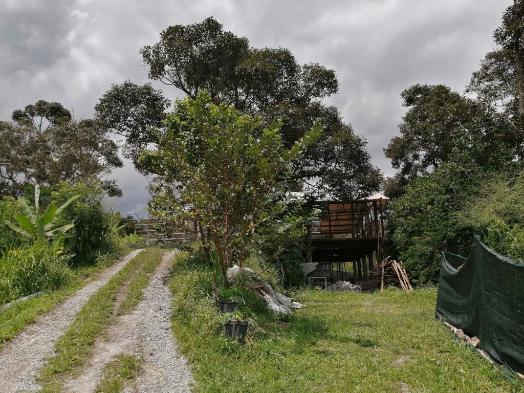 View of the building from lower hill terraces.