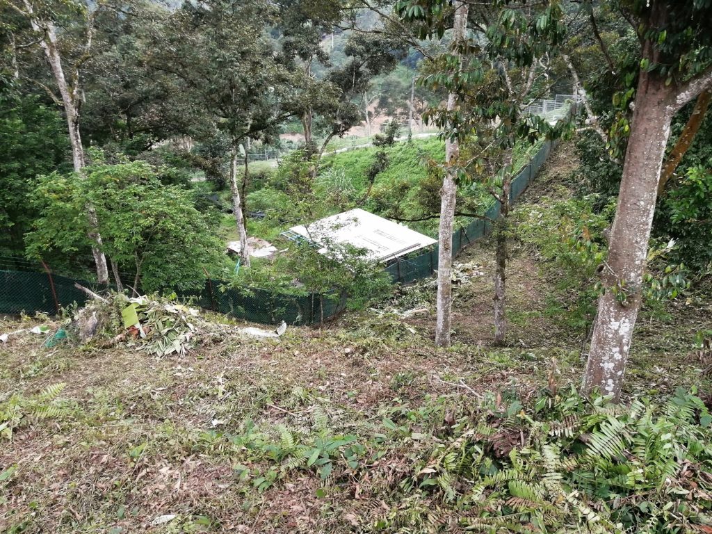 The coop seen from neighbouring land overlooking a pond (unseen), at the highest point at the farm in this area, bordering the boundary fence. This decision puzzle piece to locate coop here is part of the larger picture of a permaculture design where energy/nutrient flow is slowed and spread across a larger area from source (water/manure) to destination (pond/fish).