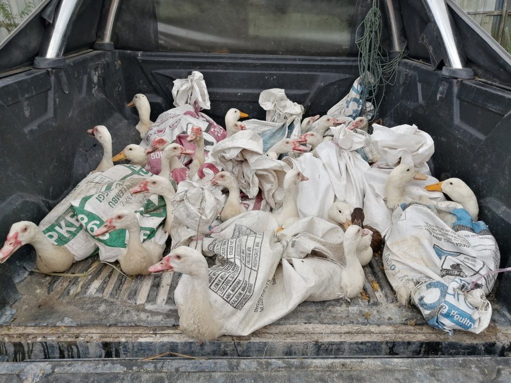 Ready to go in my truck.