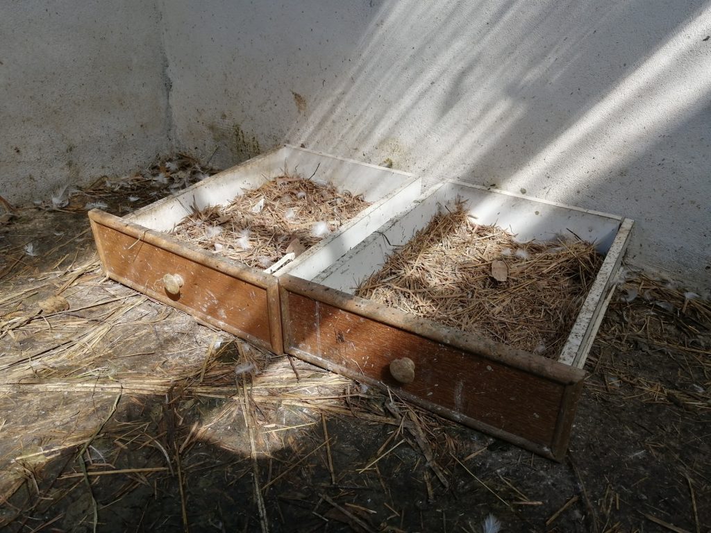 Old drawers as nest boxes.