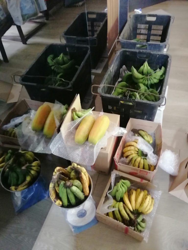 A photography studio doubling up as a market floor space for fresh farm produce. Weighing, packing and fulfilling orders.