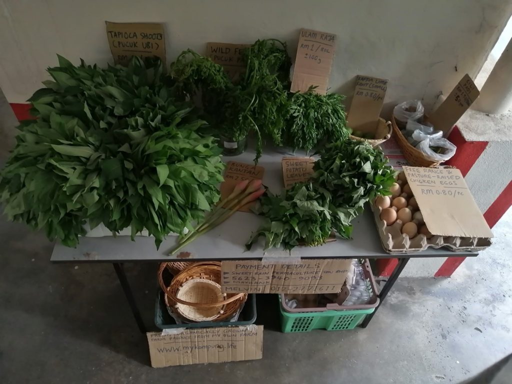 Upon arrival from the farm... Upon arrival from the farm...