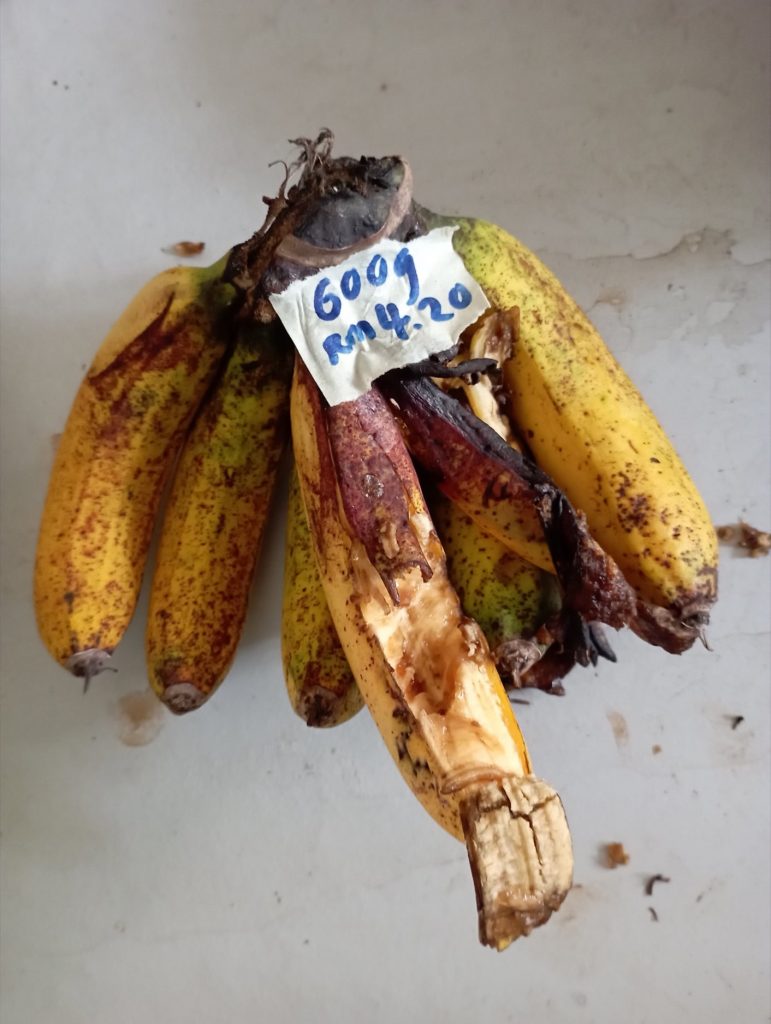 The squirrels have been having a blast with the bananas placed on the table stand. This batch has been ripening too fast. Looks like I need to figure out another way to reduce my nature tax, however important that may be.