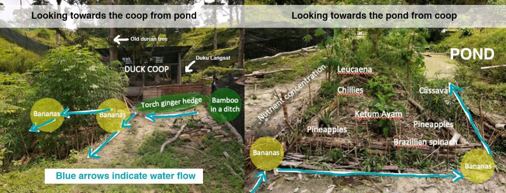 Harnessing natural energy flows