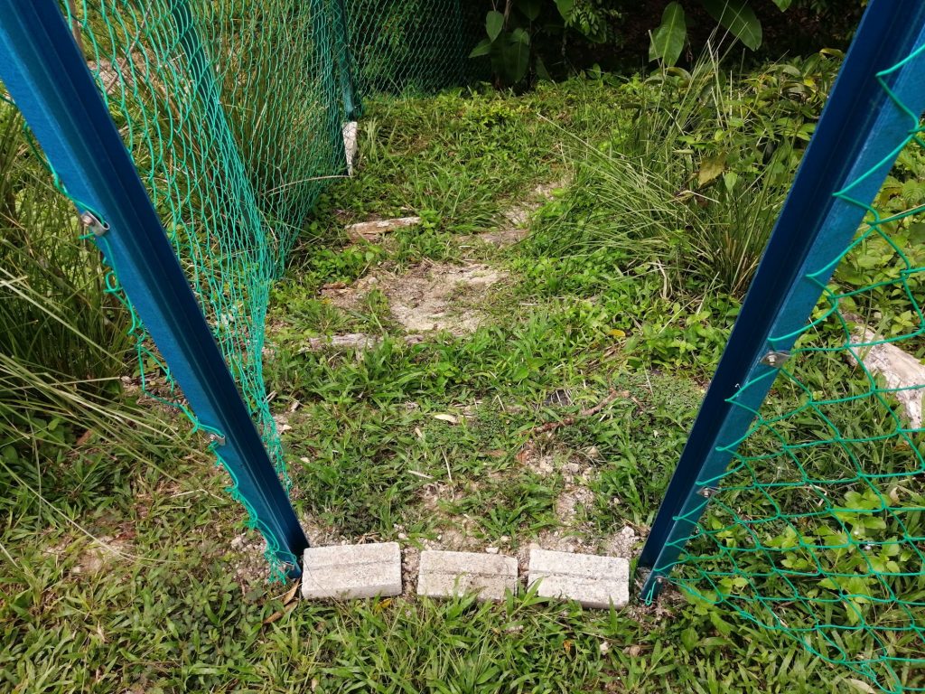 For access, the door posts are angled in such a way where the "C" shape of each post faces each other to "clamp" and hold the doors in place. I will be using used metal door panels raised off the ground with bricks.