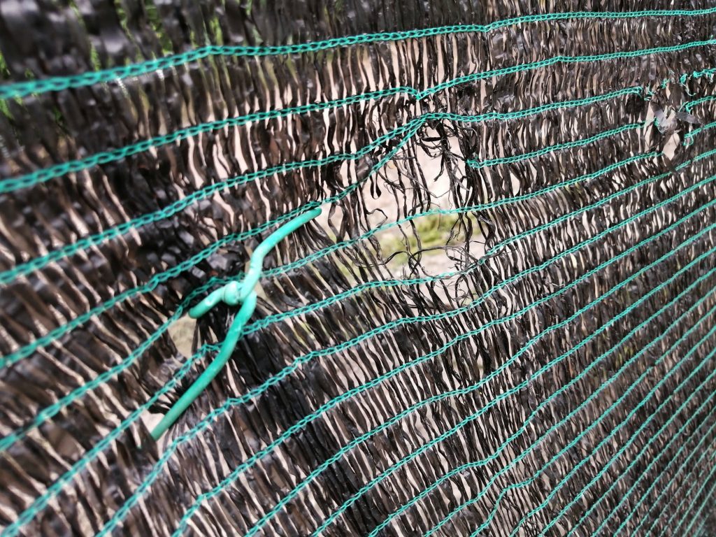 Subject to wear and tear. These weak points invite curious dogs to explore.