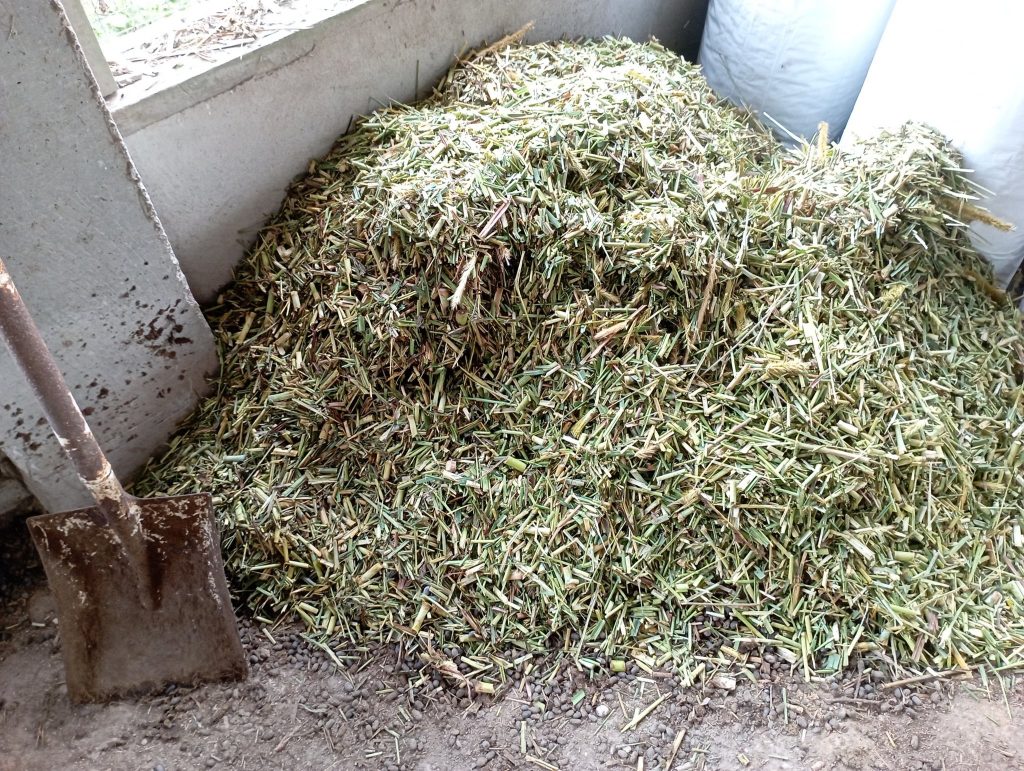 Great brown material for composting purposes.