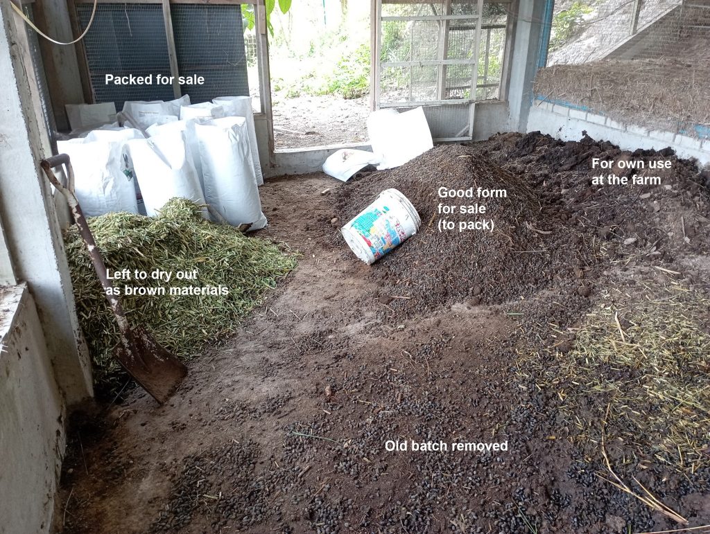 As I don't intend to use this area as a deep litter section to raise chickens for now, we will be removing the dung periodically. If I do change my mind, the leftover feed (hard napier stems) will be used as a brown material to balance out the dung and compost insitu by layering them.
