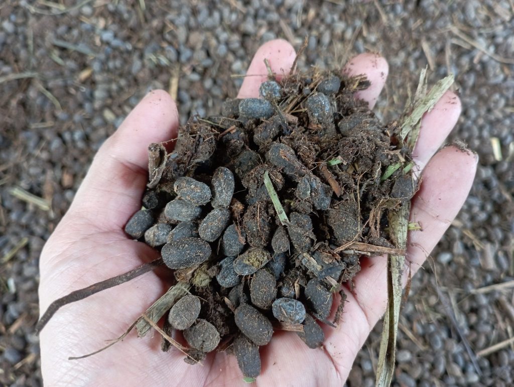 Handful of awesome goodness.