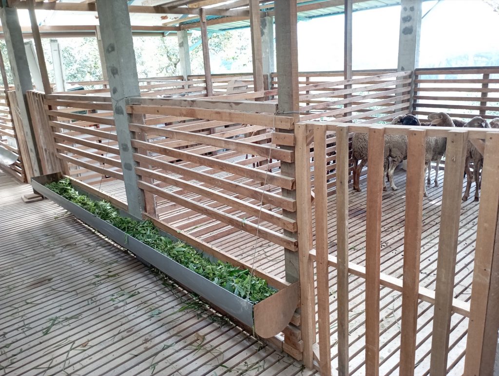 2 of the 3 pens occupied now.