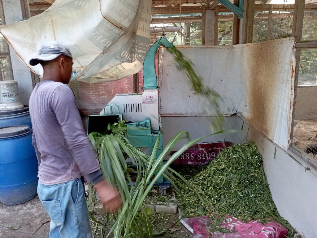 Running the chopper only twice a day (about 10-15min daily) to produce enough up to 3 meals a day.