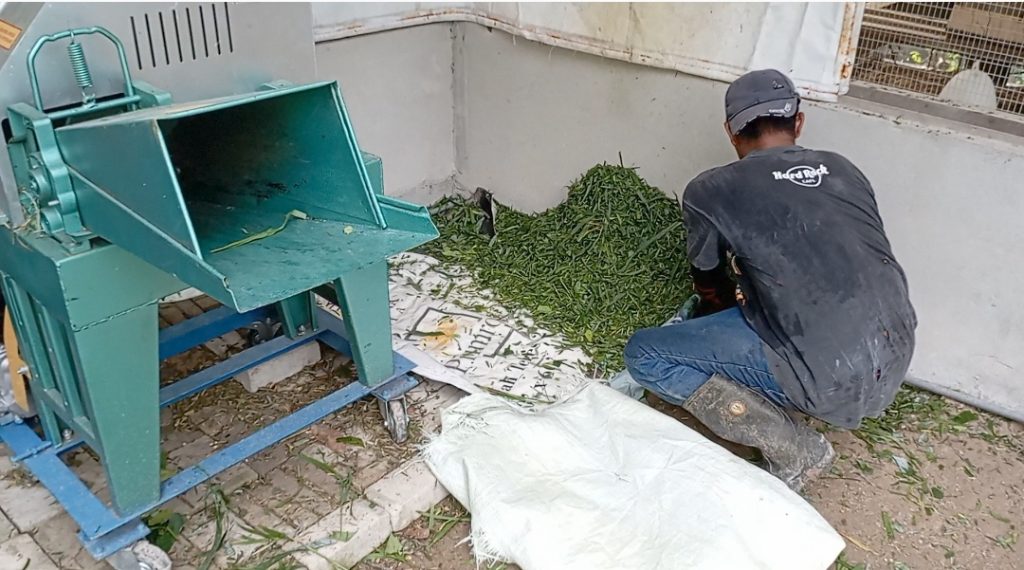 6.5HP petrol powered grass chopper as part of the grant offered as well.