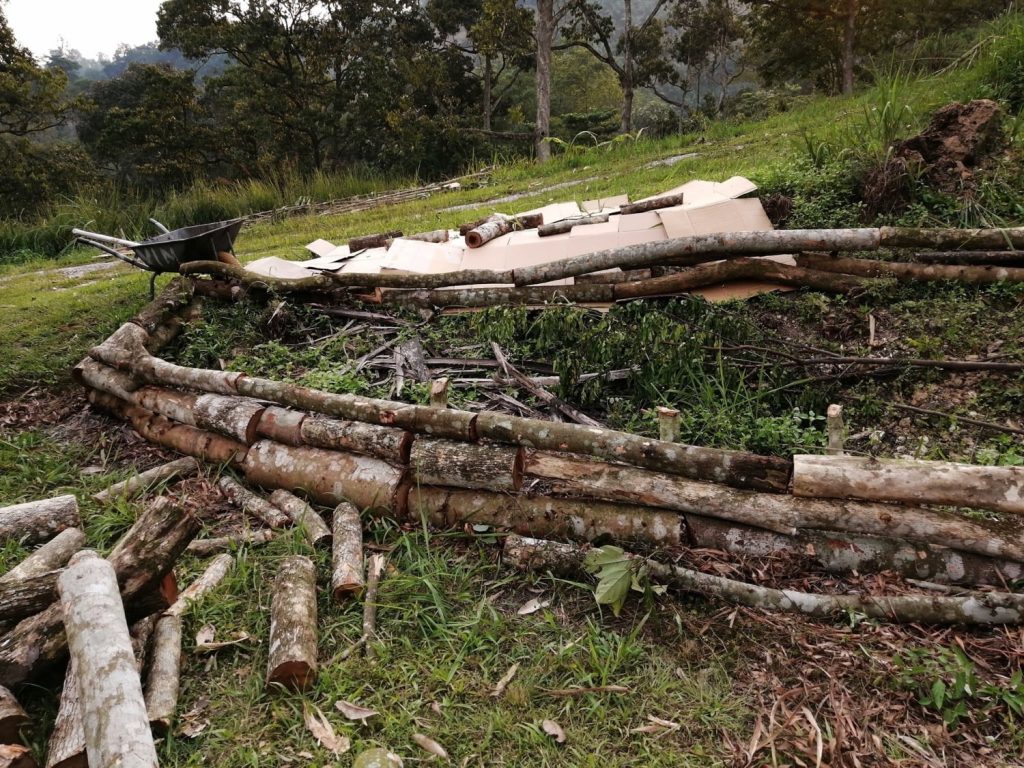 Flash back - Propped up the "bed" to increase volume and take in soil from pond dug. (3 Oct 2019)